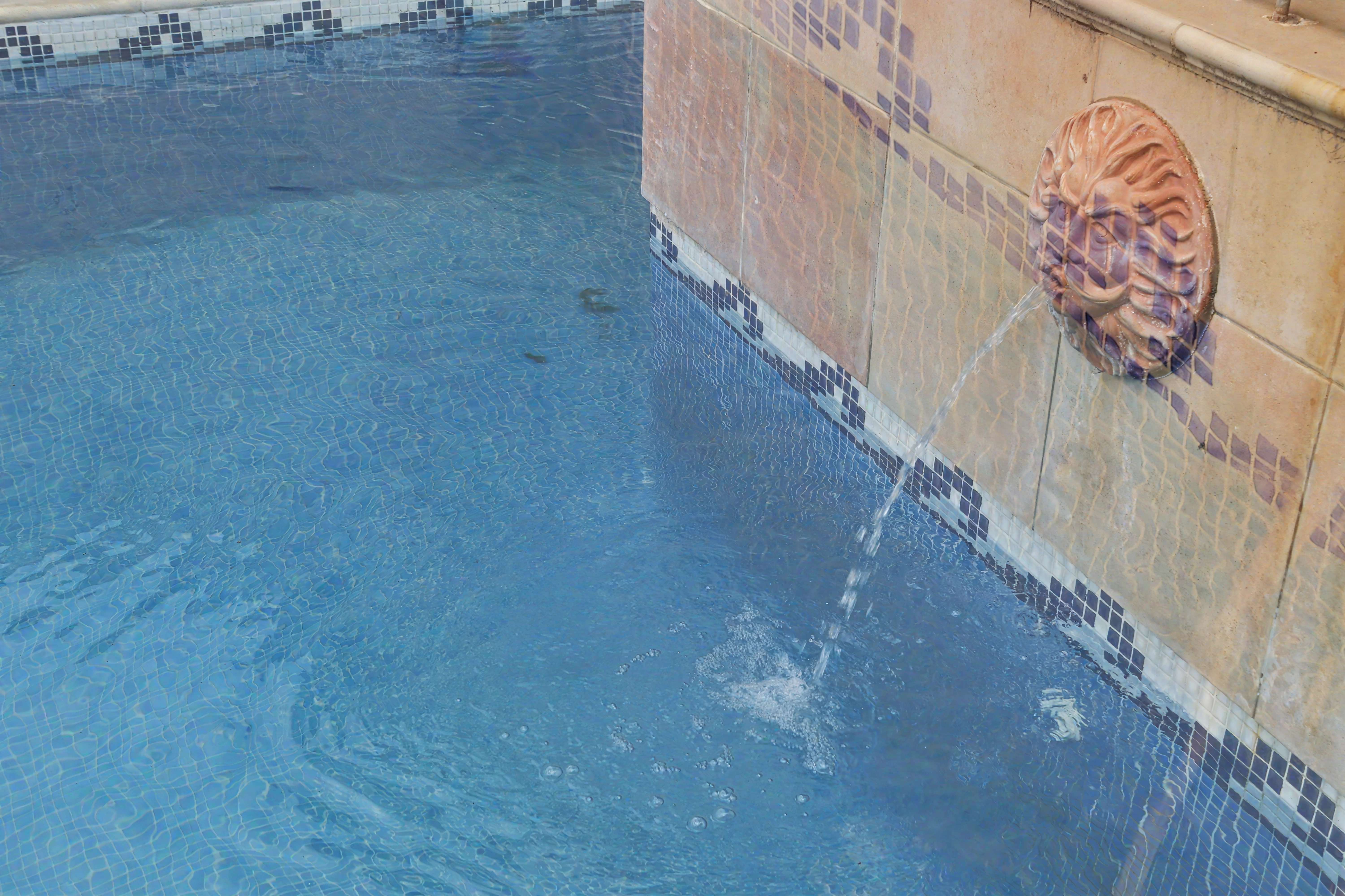 Pool lion head fountain